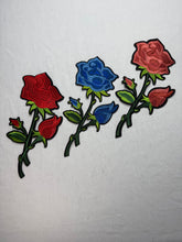 Load image into Gallery viewer, Chenille and Sequins Iron on Patches
